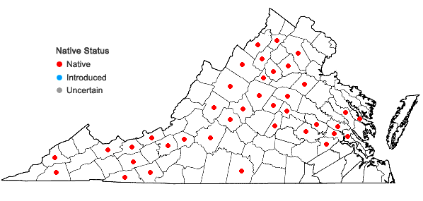 Locations ofSolidago puberula Nutt. in Virginia