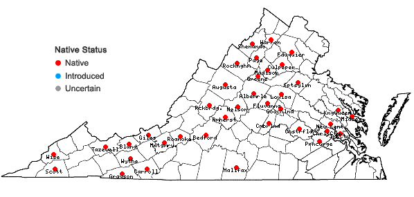 Locations ofSolidago puberula Nutt. in Virginia