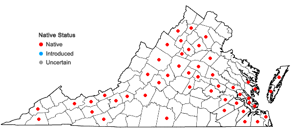 Locations ofSolidago puberula Nutt. in Virginia