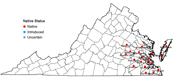 Locations ofSolidago pulverulenta Nutt. in Virginia