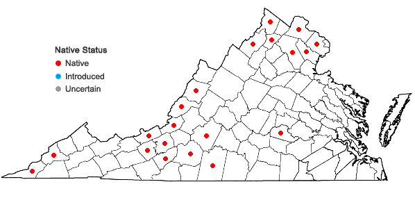 Locations ofSolidago rigida L. var. rigida in Virginia