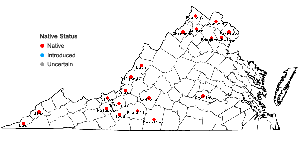 Locations ofSolidago rigida L. var. rigida in Virginia