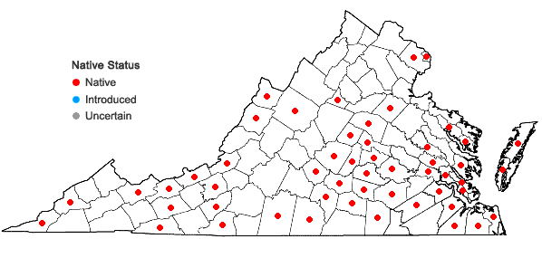 Locations ofSolidago rugosa P. Mill. var. aspera (Ait.) Fern. in Virginia