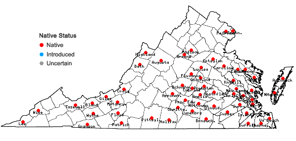 Locations ofSolidago rugosa P. Mill. var. aspera (Ait.) Fern. in Virginia