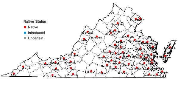 Locations ofSolidago rugosa P. Mill. var. aspera (Ait.) Fern. in Virginia