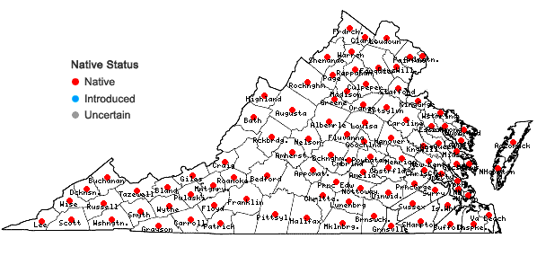 Locations ofSolidago rugosa P. Mill. in Virginia