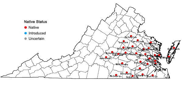 Locations ofSolidago rugosa P. Mill. var. celtidifolia (Small) Fernald in Virginia