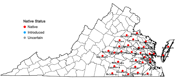 Locations ofSolidago rugosa P. Mill. var. celtidifolia (Small) Fernald in Virginia