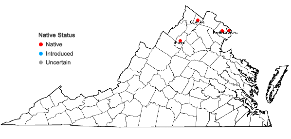 Locations ofSolidago rupestris Raf. in Virginia