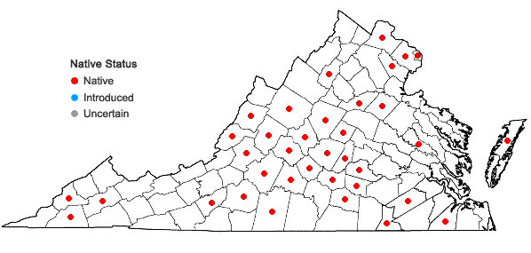 Locations ofSolidago speciosa Nutt. in Virginia