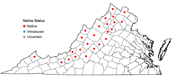 Locations ofSolidago squarrosa Nutt. in Virginia