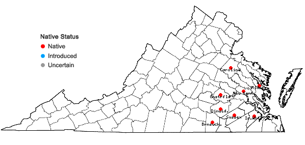 Locations ofSolidago tarda Mackenzie in Virginia