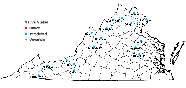 Locations ofSonchus arvensis L. var. glabrescens Guenth., Grab. & Wimmer in Virginia