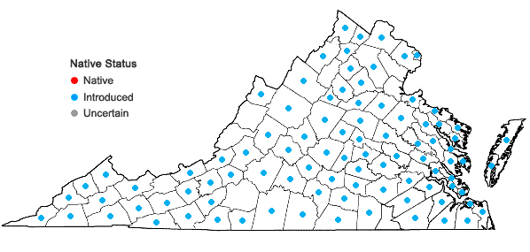 Locations ofSonchus asper (L.) Hill in Virginia