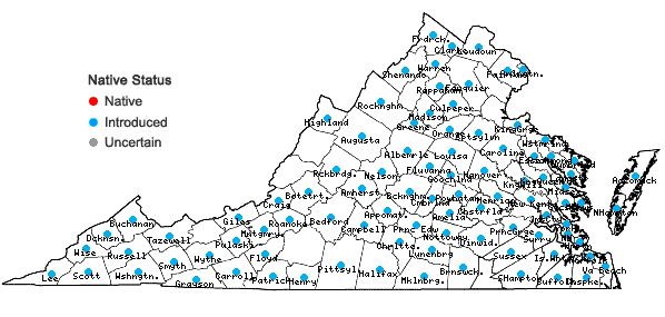 Locations ofSonchus asper (L.) Hill in Virginia