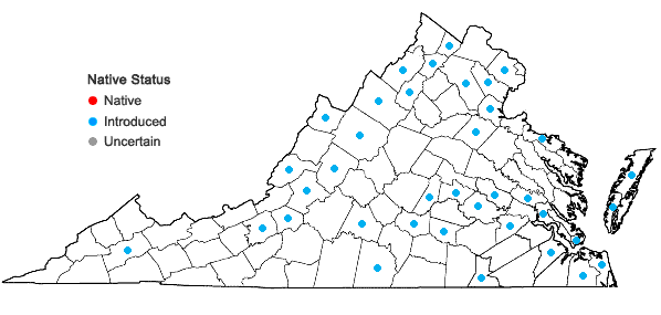 Locations ofSonchus oleraceus L. in Virginia