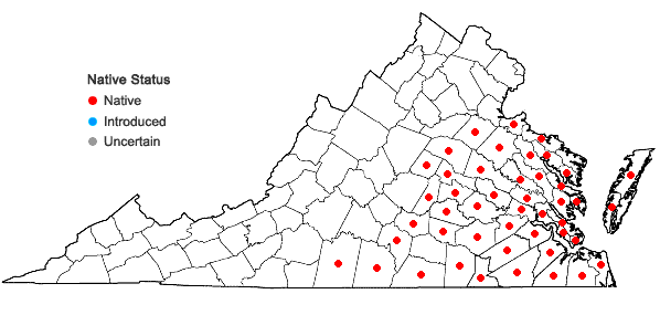 Locations ofSophronanthe pilosa (Michx.) Small in Virginia