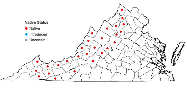 Locations ofSorbus americana Marsh. in Virginia