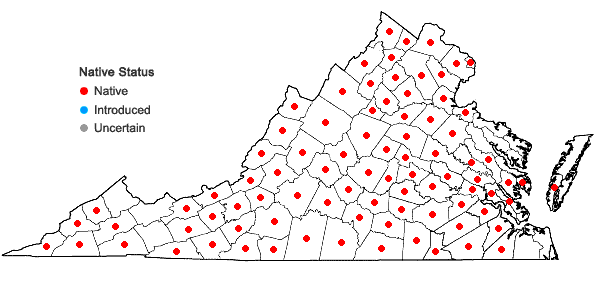 Locations ofSorghastrum nutans (L.) Nash in Virginia