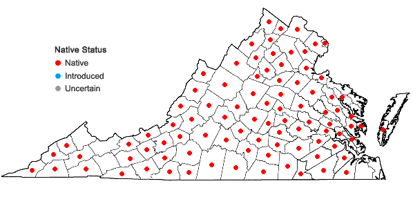 Locations ofSorghastrum nutans (L.) Nash in Virginia