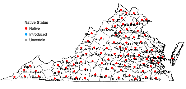 Locations ofSorghastrum nutans (L.) Nash in Virginia