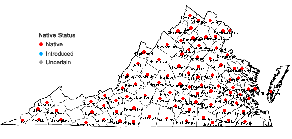 Locations ofSorghastrum nutans (L.) Nash in Virginia