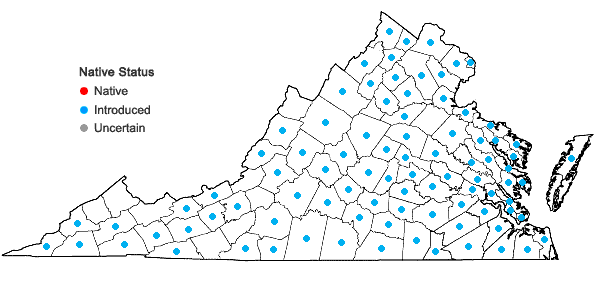 Locations ofSorghum halepense (L.) Pers. in Virginia