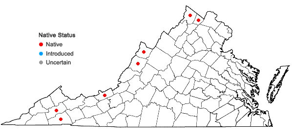 Locations ofSparganium acaule (Beeby ex Macoun) Rydberg in Virginia