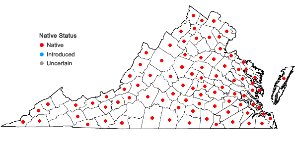 Locations ofSparganium americanum Nutt. in Virginia