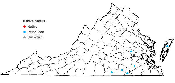 Locations ofSpergula pentandra L. in Virginia