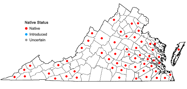 Locations ofSphagnum affine Renauld & Cardot in Virginia