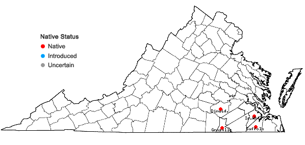 Locations ofSphagnum cyclophyllum Sullivant in Virginia