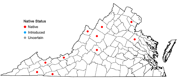 Locations ofSphagnum fallax (H. Klinggr.) H. Klinggr. in Virginia