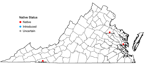 Locations ofSphagnum flavicomans (Cardot) Warnst. in Virginia