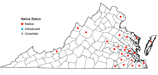 Locations ofSphagnum henryense Warnstorf in Virginia
