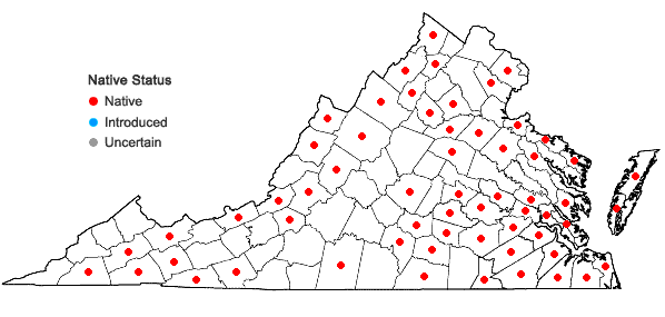 Locations ofSphagnum lescurii Sullivant in Virginia