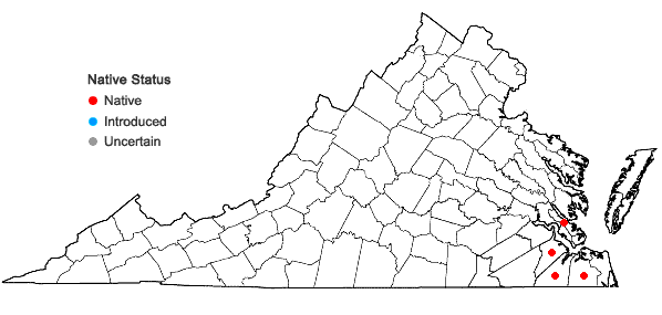 Locations ofSphagnum macrophyllum Bridel in Virginia