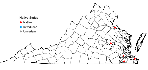 Locations ofSphagnum molle Sull. in Virginia