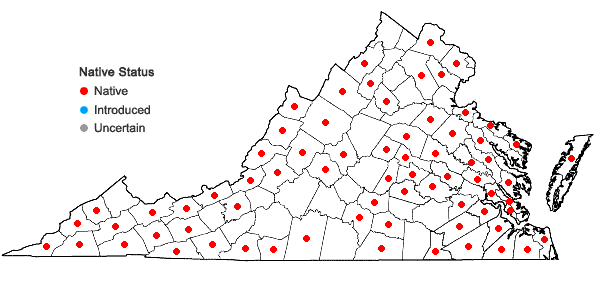 Locations ofSphagnum palustre Linnaeus in Virginia