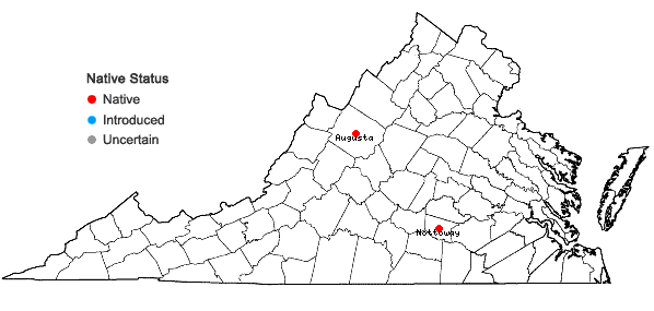 Locations ofSphagnum playtphyllum (Lindb.) Warnst. in Virginia