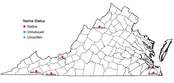 Locations ofSphagnum russowii Warnst. in Virginia