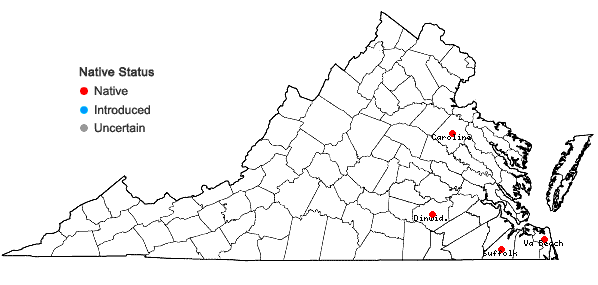 Locations ofSphagnum strictum Sullivant in Virginia