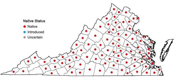 Locations ofSphenopholis nitida (Biehler) Scribn. in Virginia