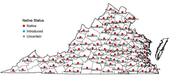 Locations ofSphenopholis nitida (Biehler) Scribn. in Virginia