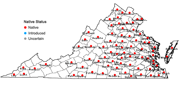 Locations ofSphenopholis obtusata (Michx.) Scribn. var. obtusata in Virginia