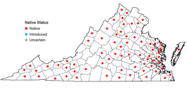 Locations ofSphenopholis pensylvanica (L.) A.S. Hitchc. in Virginia