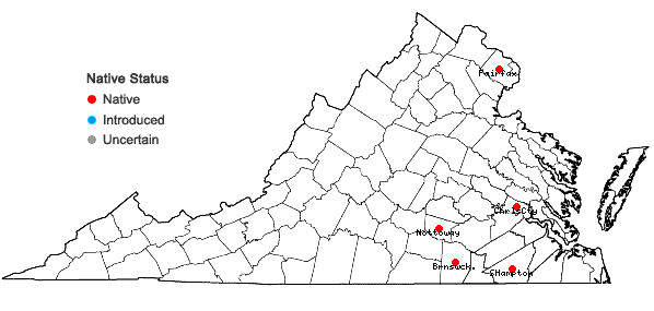 Locations ofSphenopholis × pallens (Biehler) Scribn. in Virginia