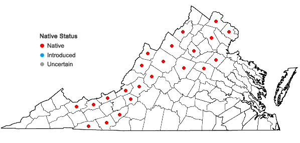 Locations ofSpiraea alba Du Roi var. alba in Virginia