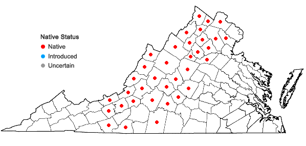 Locations ofSpiraea corymbosa Raf. in Virginia