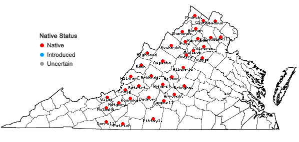 Locations ofSpiraea corymbosa Raf. in Virginia